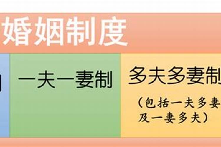 懂算命的帮我翻译