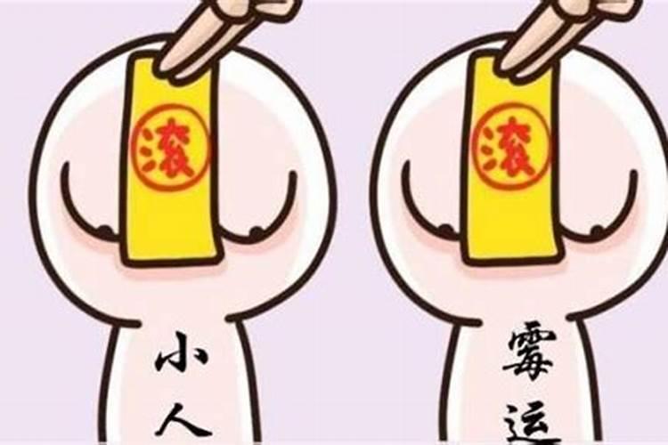 94年属狗结婚忌哪4个属相