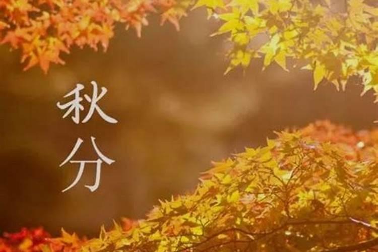 属龙女2025年运势和财运怎么样