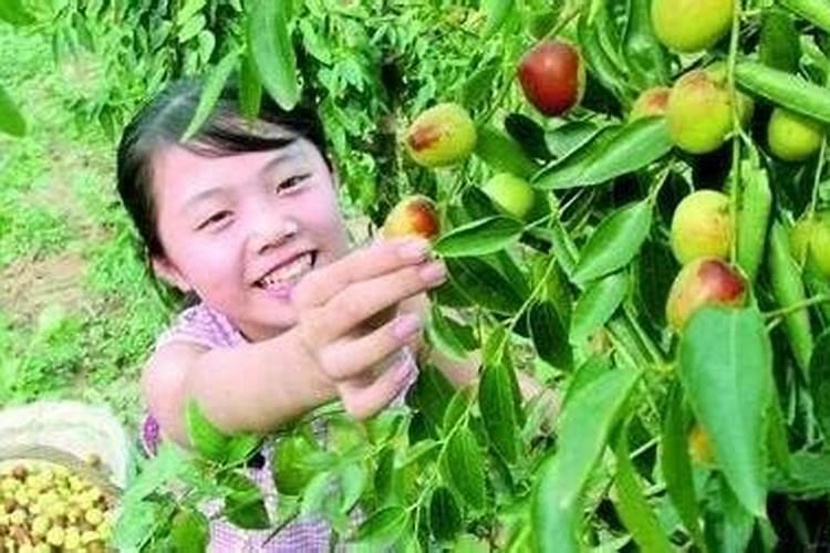 自上学开始学业和事业都一直顺风顺水,但是为什么在感情方面一直就没顺...