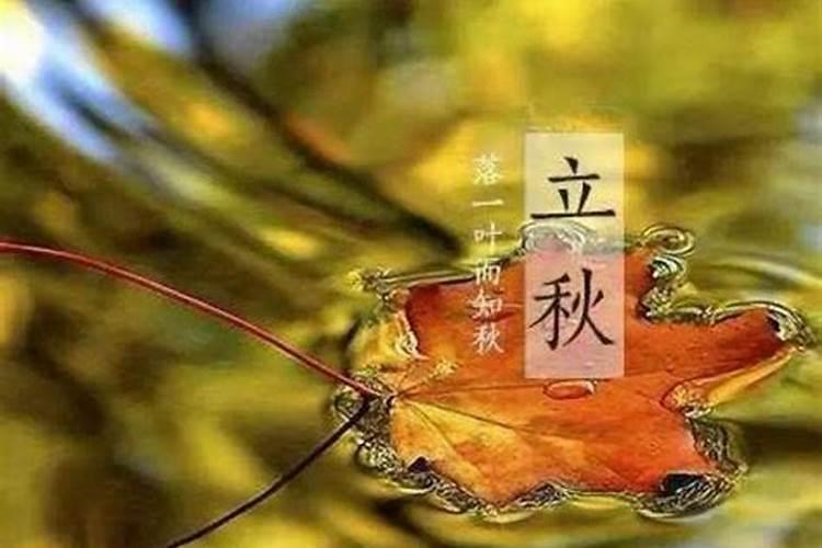 立秋后不能游泳吗