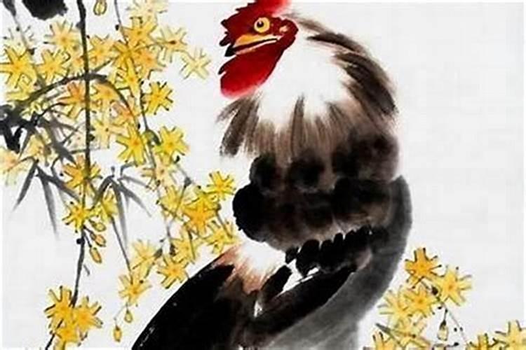93年属鸡的命运如何,属猪女哪个月最有福气