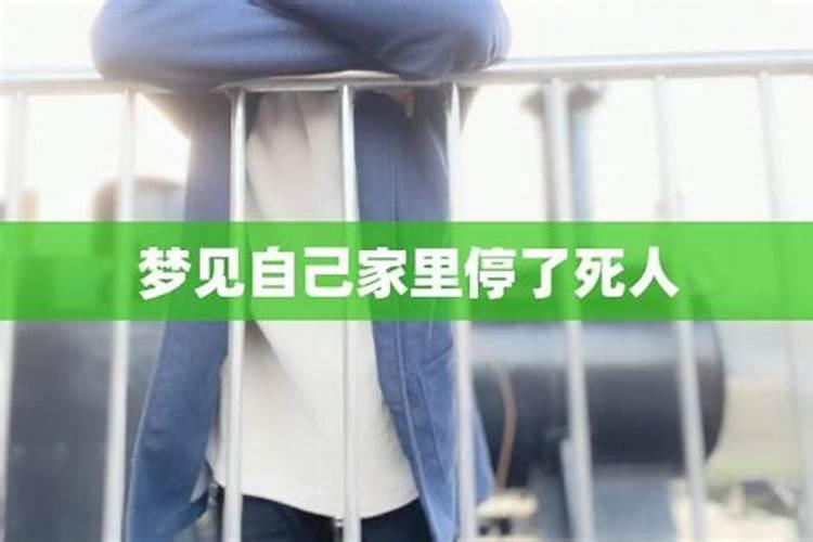 鸟飞进家里是好兆头还是坏兆头