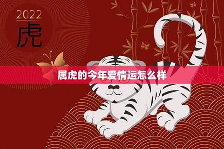 属虎人2025年6月运势