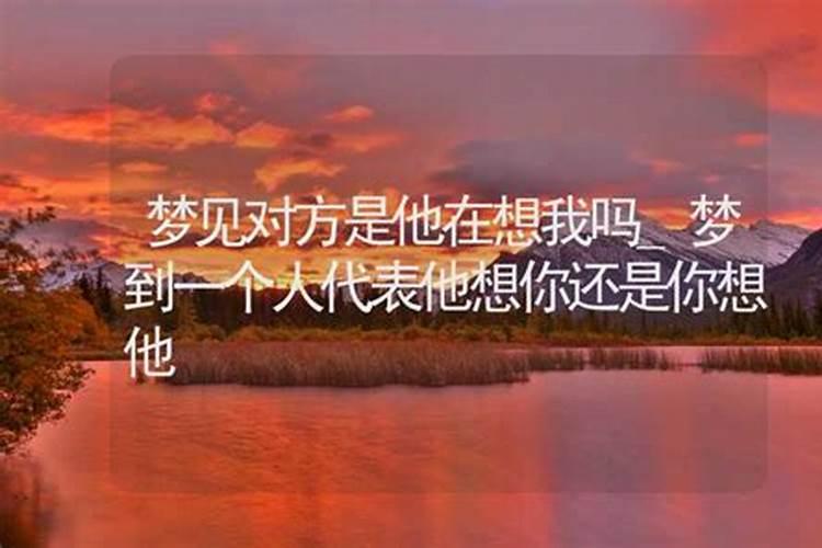 梦到喜欢的人是什么预兆