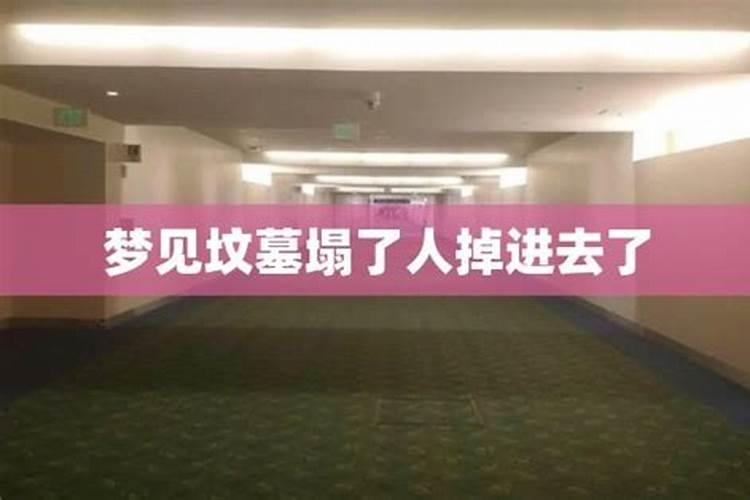 梦见狗下了好多狗崽子