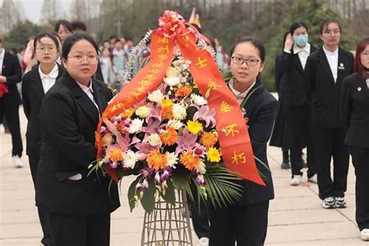 24年属兔的总体运程每月运程详解