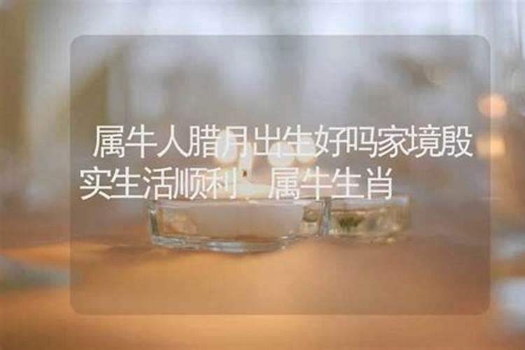 属牛腊月初九出生最好 福禄双全顺水顺风？