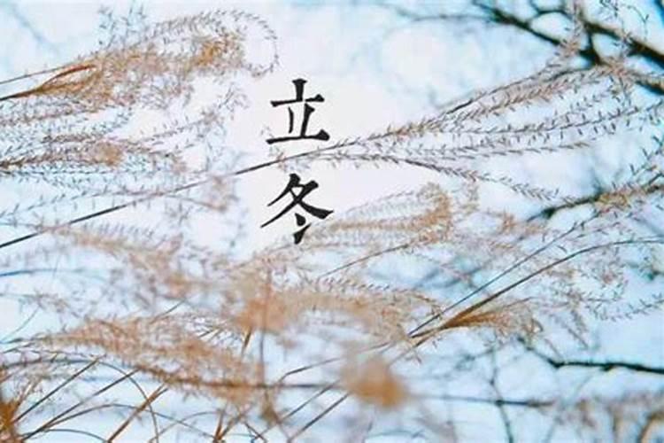立冬应该吃什么食物