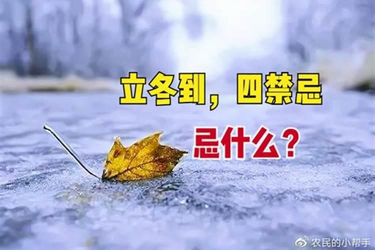 2024年过冬是哪一天