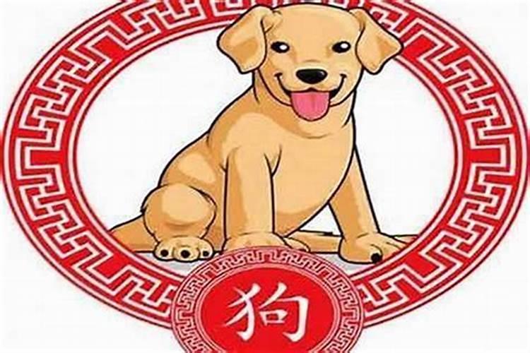 2025年属狗人的全年运势详解