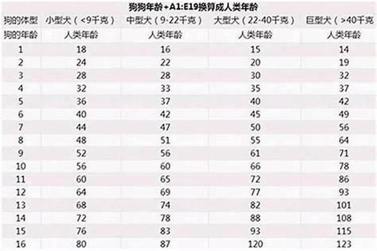 2025属狗今年有一难是什么