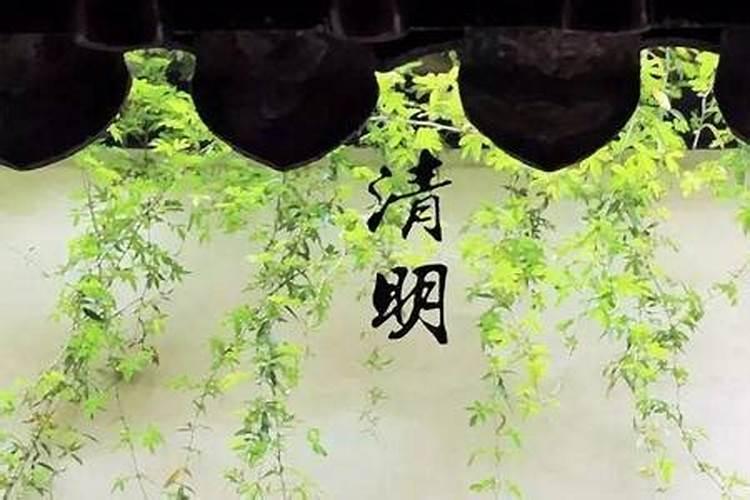 清明节可以算命吗