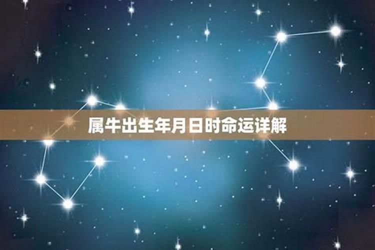 2月13日年初二出生一生命运分析