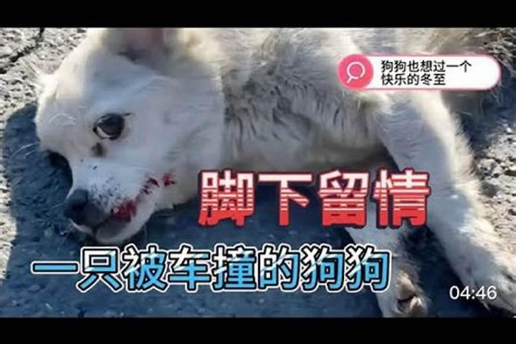狗宝宝冬至起名 冬至出生男孩起名