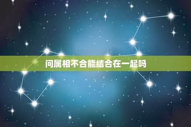 网上合婚可信吗,婚配网如何？要付2000多元可靠吗？