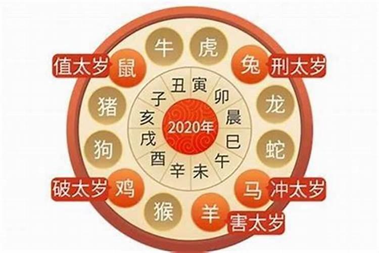 83年男猪2025 年的运气