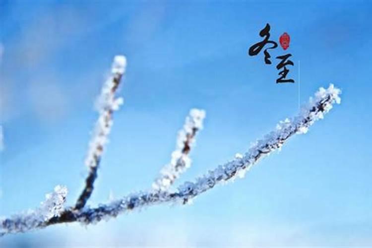 在安徽宿州适合种植哪些中草药呢？