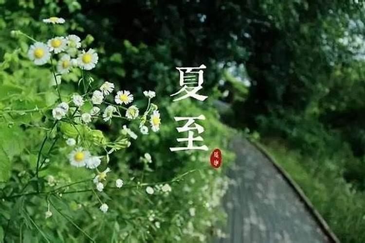 夏至出生的孩子好吗？