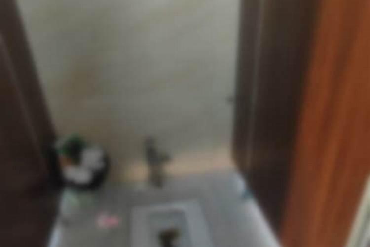 梦见大乌龟是什么征兆