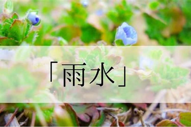 麦玲玲属猴2022年运势及运程详解 吉凶如何？