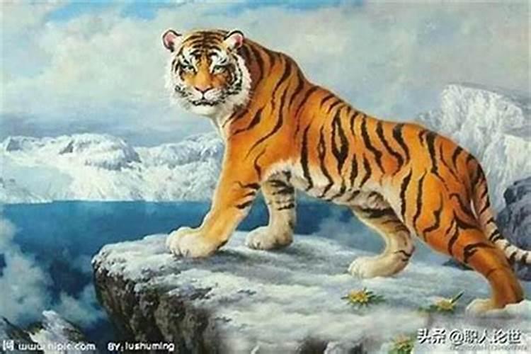 老虎跟猴子属相合不合 属虎的和猴子相冲吗是什么意思？