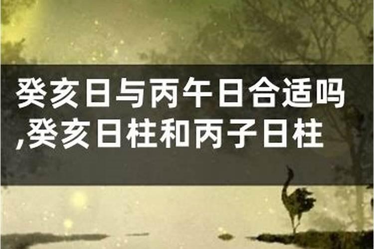 六癸日出生男女八字合婚表