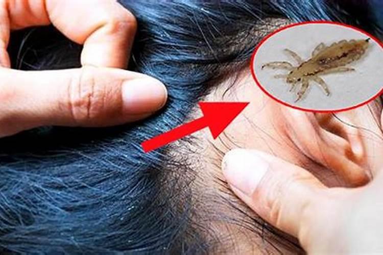 那些算命的,真的能算出一个人的命运吗？