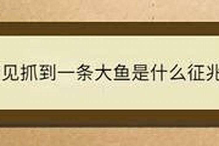 怎么知道自己是土命还是什么命