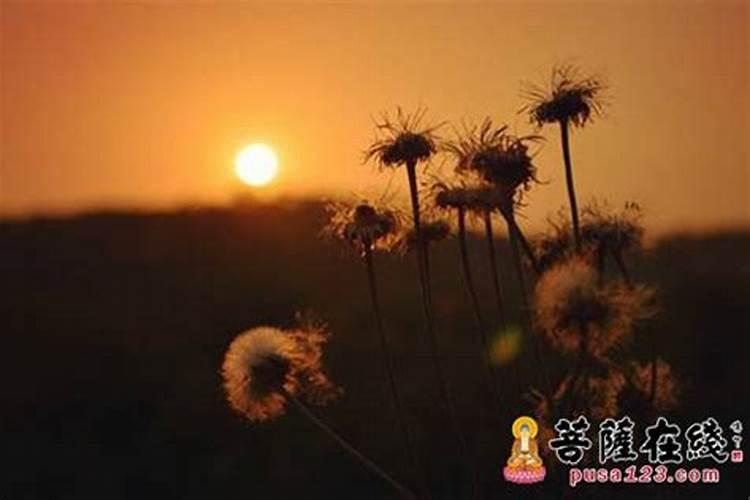 名字影响命运是迷信吗 为什么看名字就能看出命运
