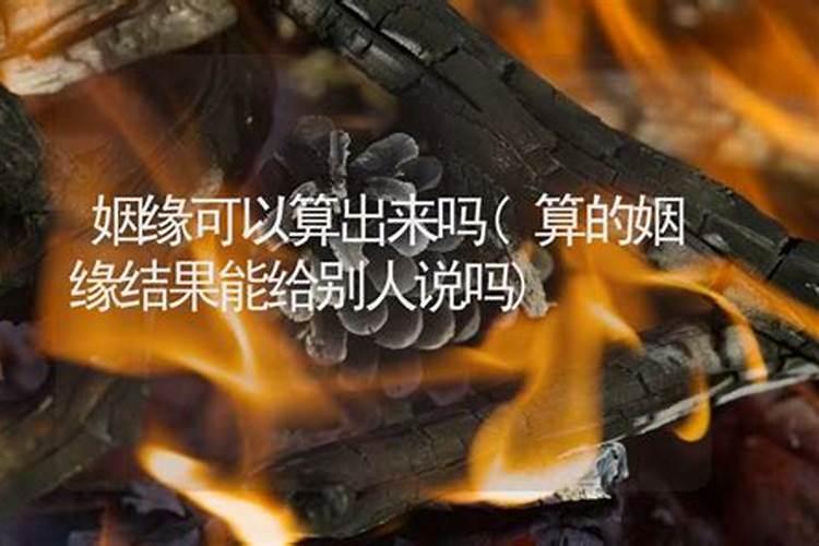 属龙和属蛇谁更强大厉害