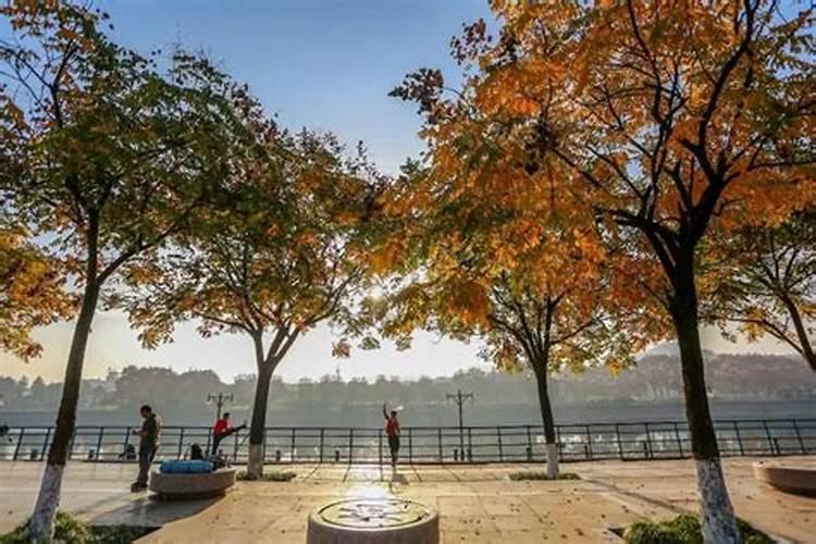 浙江冬至的风俗吃什么