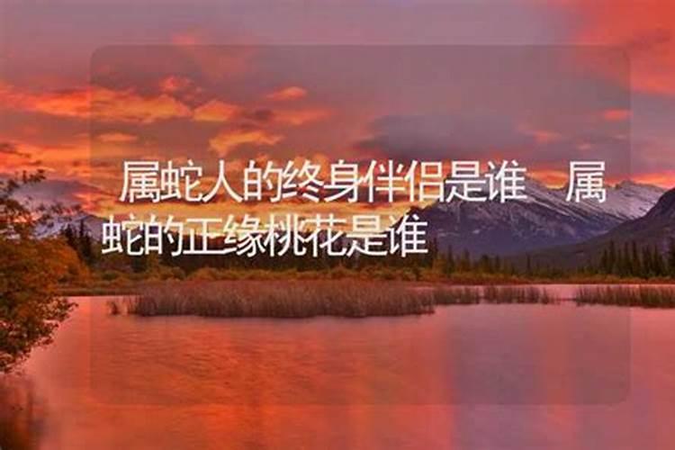属蛇的性格和脾气男人