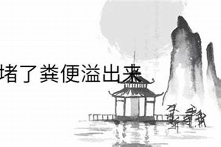 梦见马桶堵了粪便溢出