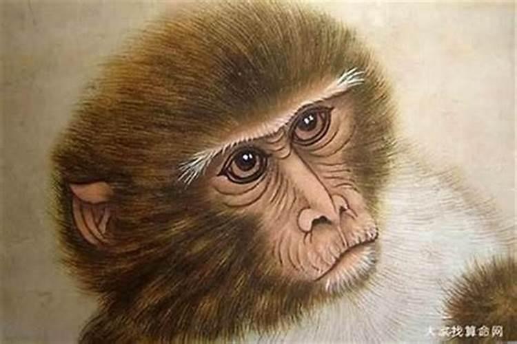 1968年属猴人的后半生命运 中年后运势回温晚景祥乐？
