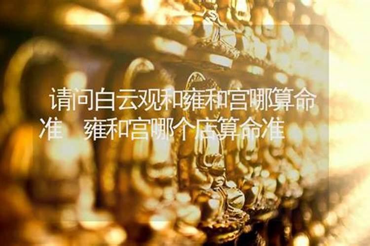 2025年属鼠人的全年运势1996出生