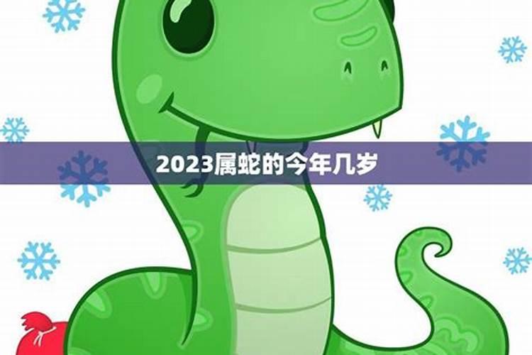属蛇53出生2024年几岁了