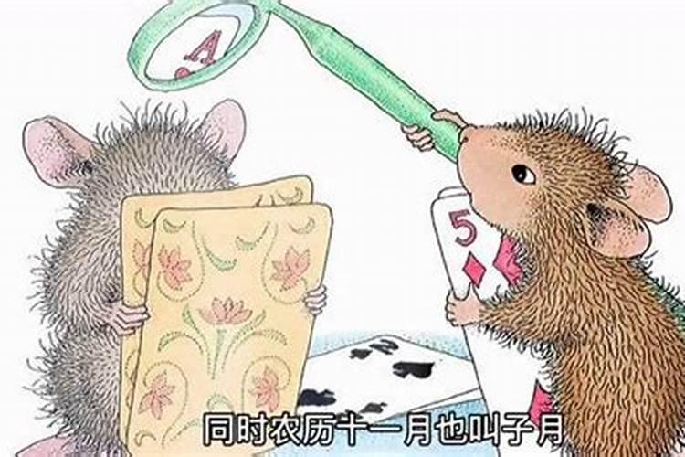 丑牛是什么意思
