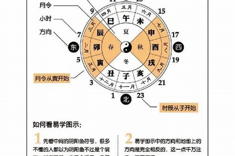 八字算命的基础知识