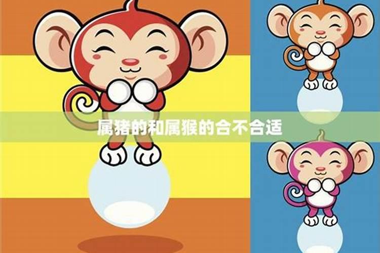 属猪和属猴的婚姻相配吗 属猪的和属猴的婚姻好不好