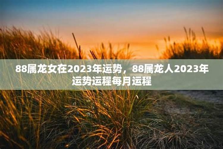 2025年属蛇人的全年运势女性