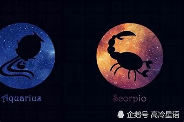 属蛇魔蝎座男生和属龙天蝎座女生性格合吗