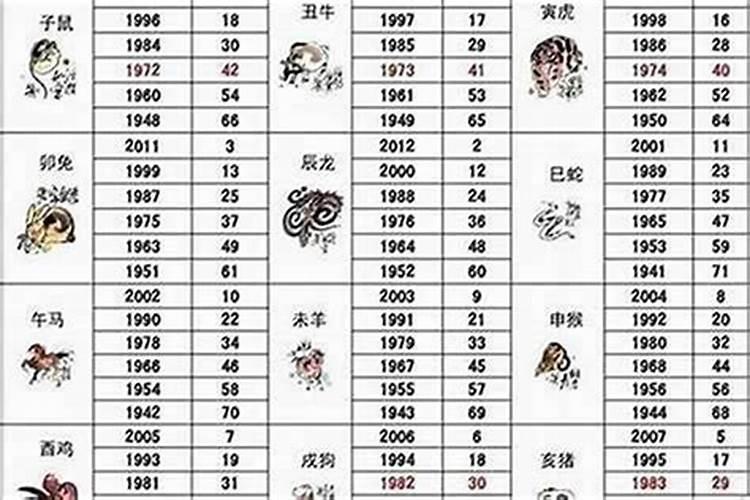 生辰八字中的安身之狗是什么意思