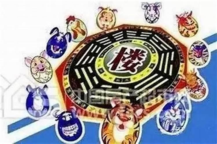 什么样的属相住几什么样的楼层房子