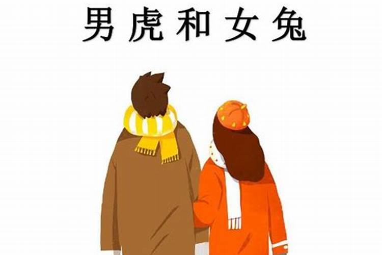 男属虎和女属兔的合不合？