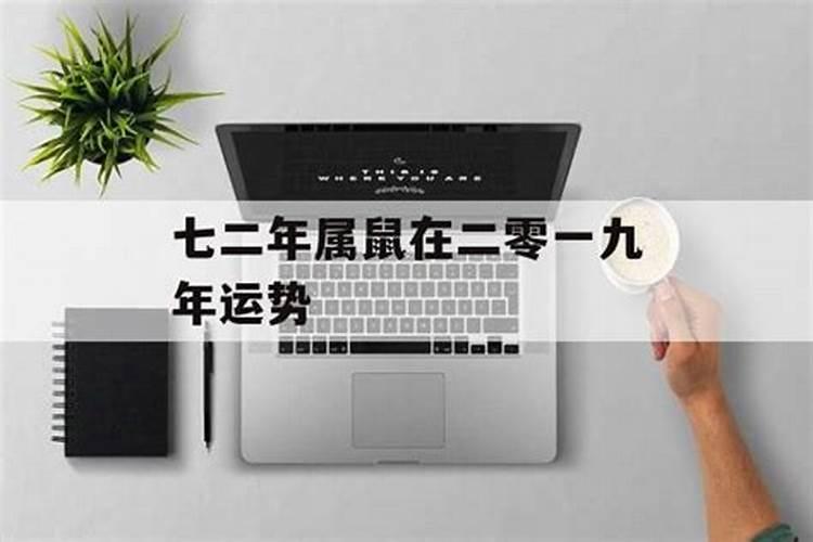 二零一九年属猪什么命