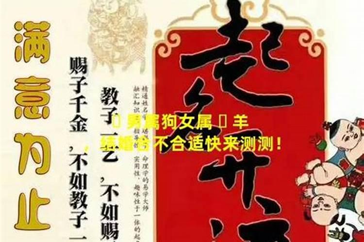 属羊的和属鼠的能结婚吗？