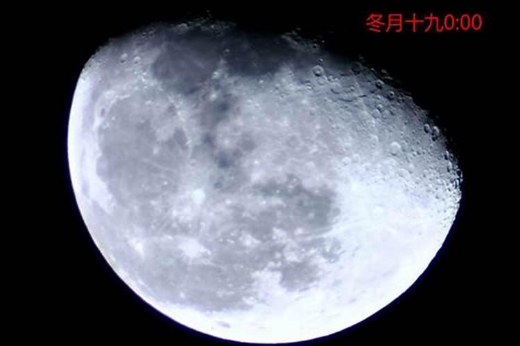 69年冬月初六生的人明年运程如何