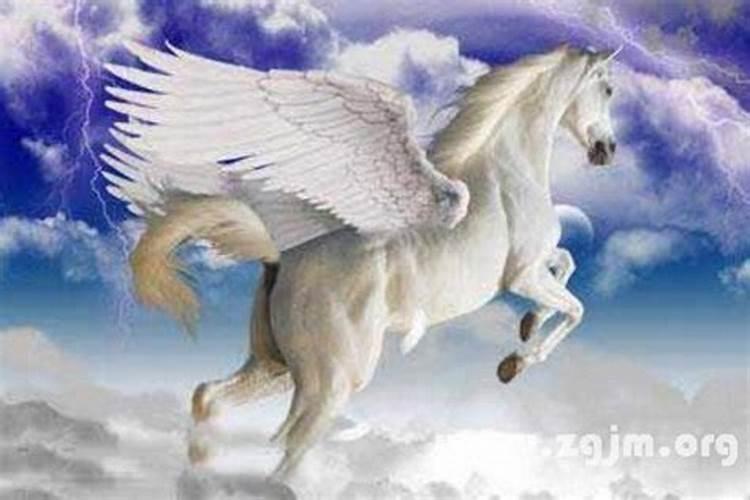 梦见马飞走了的预兆