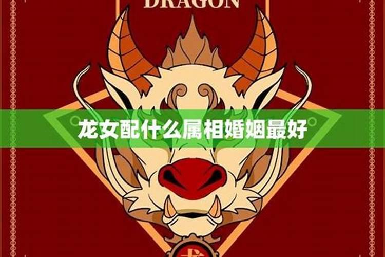 龙男和龙女的婚配属相好吗